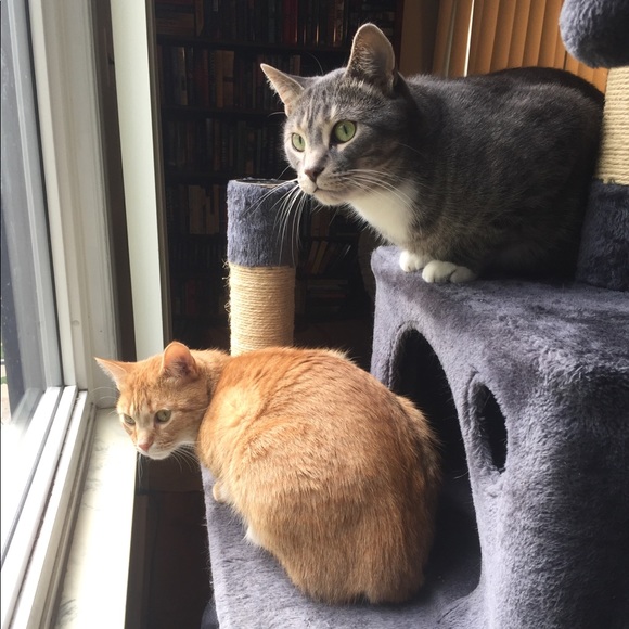 Hi! ๐๐ผIโm Katt. Offers always welcome! ๐ค - Picture 16 of 16